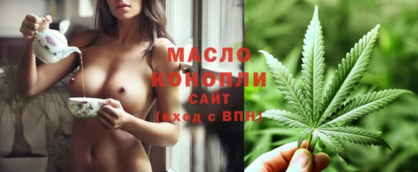 гидропоника Алзамай