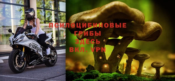 гидропоника Алзамай