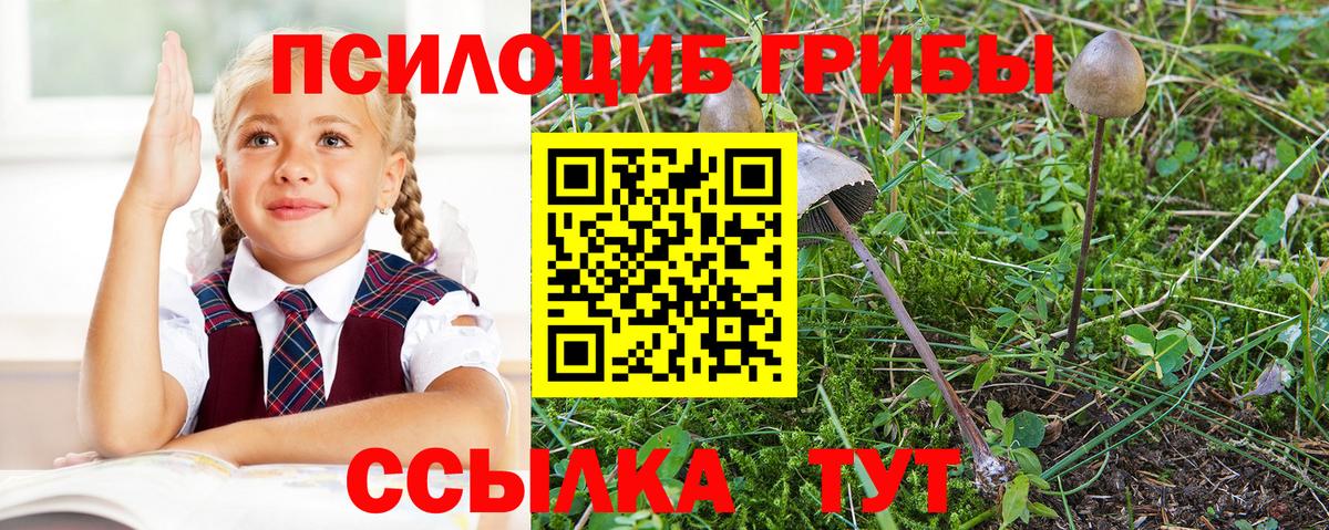 Амурск  Псилоцибиновые грибы мицелий  Вход с VPN 